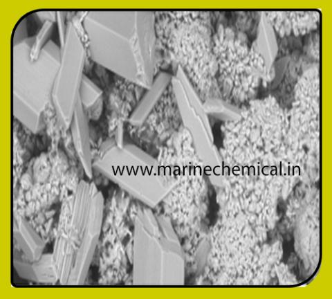 Membrane Cleaner RXSOL- 3304
